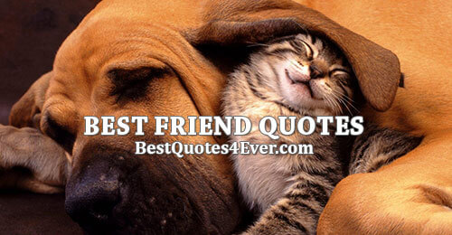 Best Friend Quotes