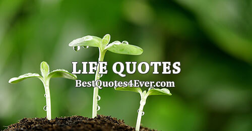 Life Quotes, Sayings and Messages Collection