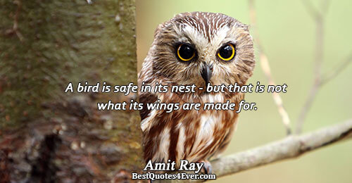 A bird is safe in its nest - but that is not what its wings are