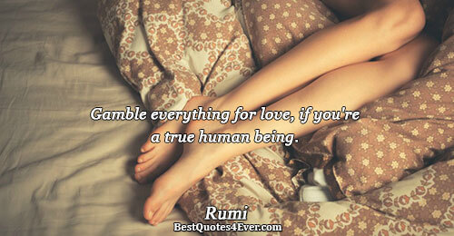 Gamble everything for love, if you're a true human being.. Rumi 