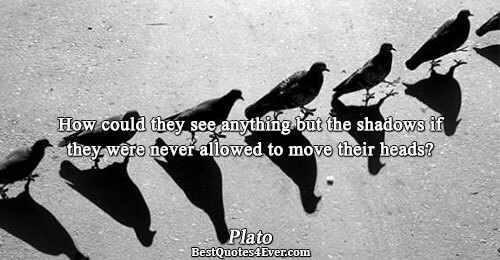 How could they see anything but the shadows if they were never allowed to move their