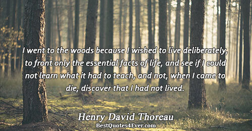 I went to the woods because I wished to live deliberately, to front only the essential