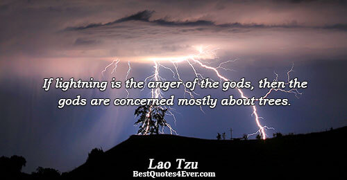 If lightning is the anger of the gods, then the gods are concerned mostly about trees..