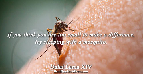 If you think you are too small to make a difference, try sleeping with a mosquito..
