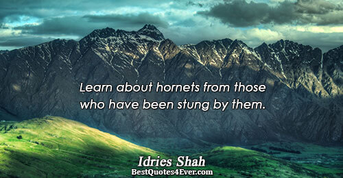 Learn about hornets from those who have been stung by them.. Idries Shah 