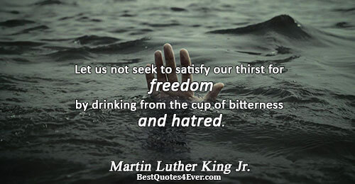 Let us not seek to satisfy our thirst for freedom by drinking from the cup of