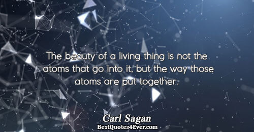 The beauty of a living thing is not the atoms that go into it, but the