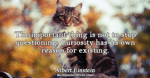 The important thing is not to stop questioning. Curiosity has its own reason for existing.. Albert