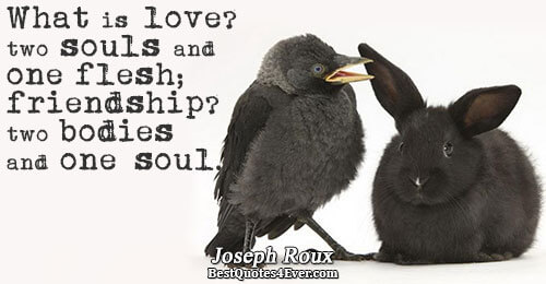 What is love? two souls and one flesh; friendship? two bodies and one soul.. Joseph Roux